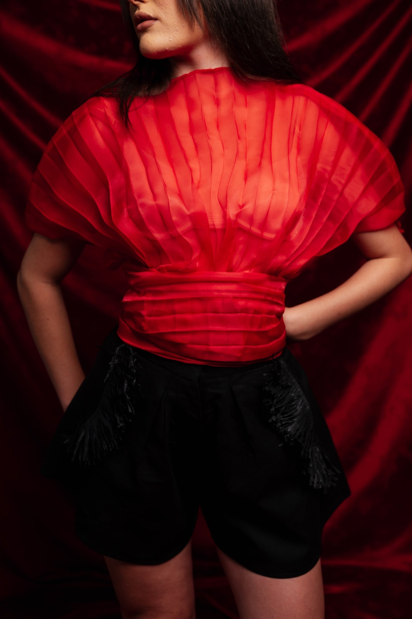 Zenani Blouse (Red)